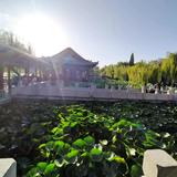 乐天派石岩头像