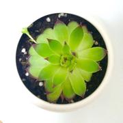 iya495的个人资料头像