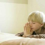 木子礼的个人资料头像