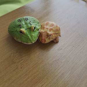 甜蜜玥嘛头像