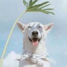 vincent同学72570的个人资料头像