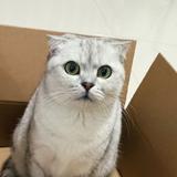 够资格叫你走头像