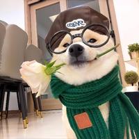 醒着做梦32148头像