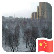 用户9128139079580的个人资料头像