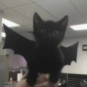 用户78328332785的个人资料头像