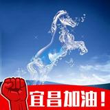 生龙活虎7235头像