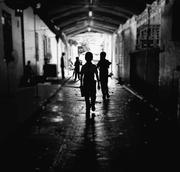 CodePrince的个人资料头像