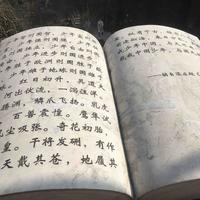 永州000唐头像
