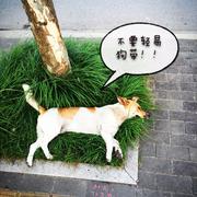 嘻哈工程师的个人资料头像