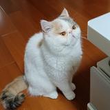 荣哥88761头像