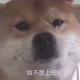孤独滴毛巾 · 探岳车主·车龄2年头像