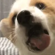 用户1219370672060的个人资料头像