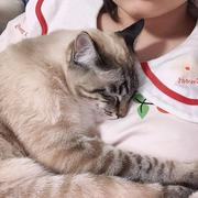 LLyy的个人资料头像
