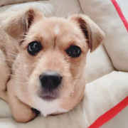 Alexandervii的个人资料头像