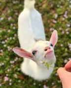 夕酉的个人资料头像