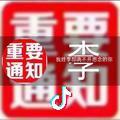 逗号砖家头像