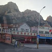 顺其自然278855916头像