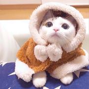 lolo15482的个人资料头像