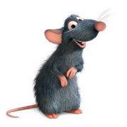 _小曹哥_的个人资料头像