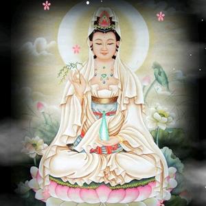 席国晖头像