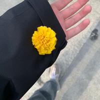 超级大张张头像