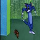 好名字可以让你的朋友101681的个人资料头像