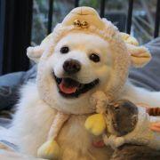 刘laoliu的个人资料头像