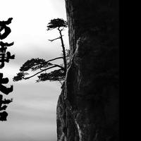 清新橘子Lro头像