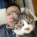 机智的大哈黄头像