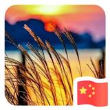 岁月静好8473117634929头像