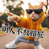 明人不放暗屁657头像