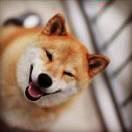 清水本尊80482的个人资料头像