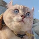 刘多鱼的个人资料头像