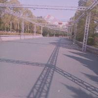 青衫依旧6076头像