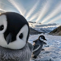 成都市小鹏二手车头像