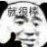 一窝小喵咪头像
