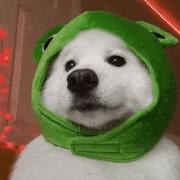 JJC的个人资料头像