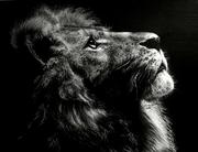 六七的个人资料头像