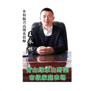 金晟源生态农业头像
