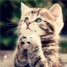 月亮不睡我不睡i的个人资料头像