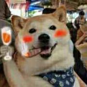 俺是种瓜低的个人资料头像