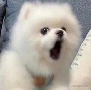 编号221109的个人资料头像