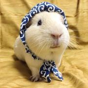 陈宇航的个人资料头像