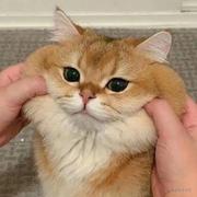 兢兢业业的个人资料头像