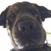 wvv的个人资料头像