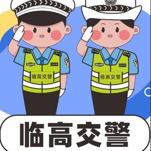 临高交警头像