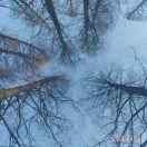 仔子的个人资料头像