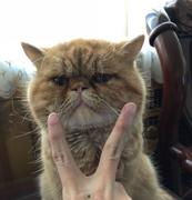 sunthx的个人资料头像