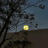 手机用户52945885178头像