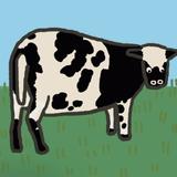 阿尔吉侬0416头像